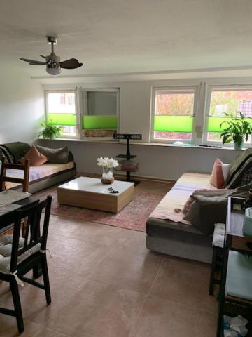 Appartement Hofesh à Altdorf  Extérieur photo